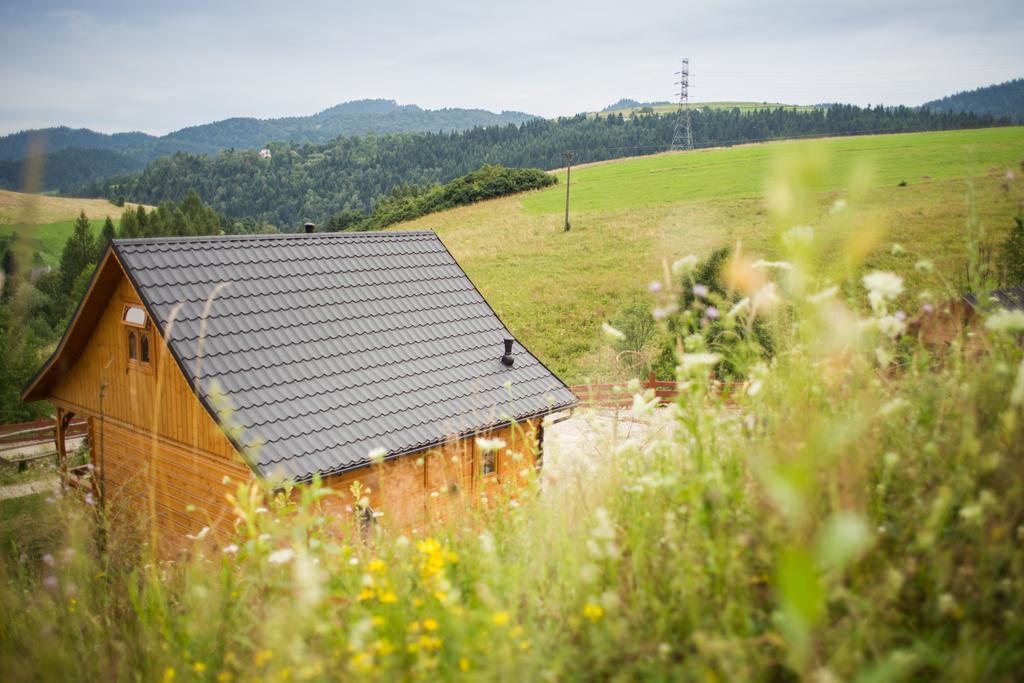 Pieninskie Herbarium Dobre Samopoczucie, Wellness, Mini Zoo, Poczujesz Folklor Pienin Grywald Exterior foto